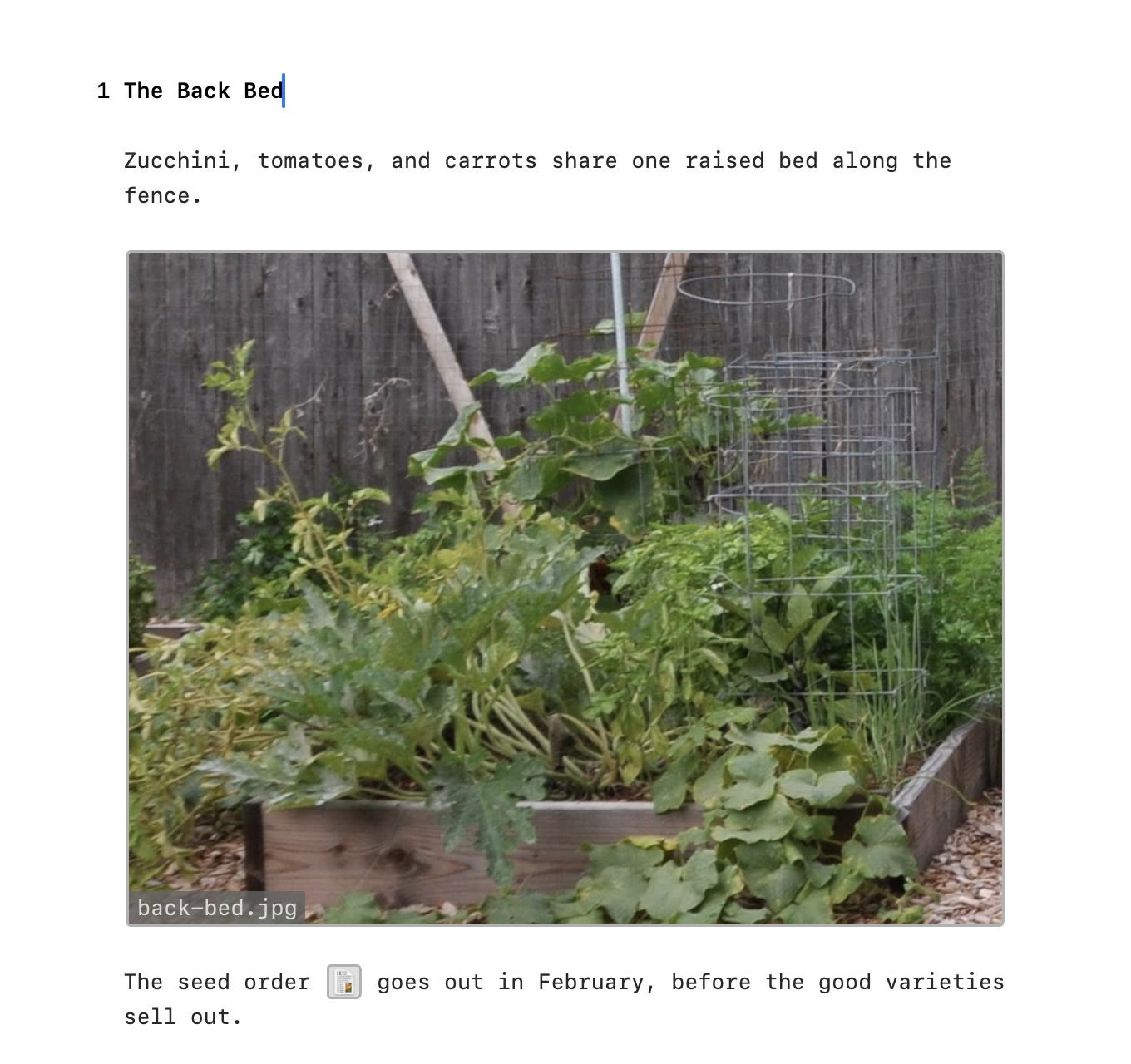 A photo attached on a line of its own, framed with its file name, and an RTF file's icon inside a sentence
